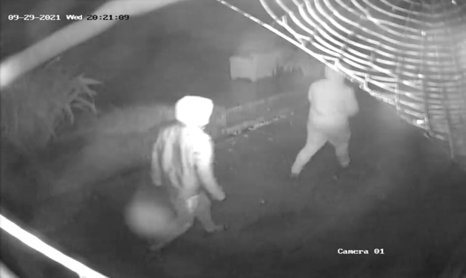 The gang hid their faces to carry out the audacious raid