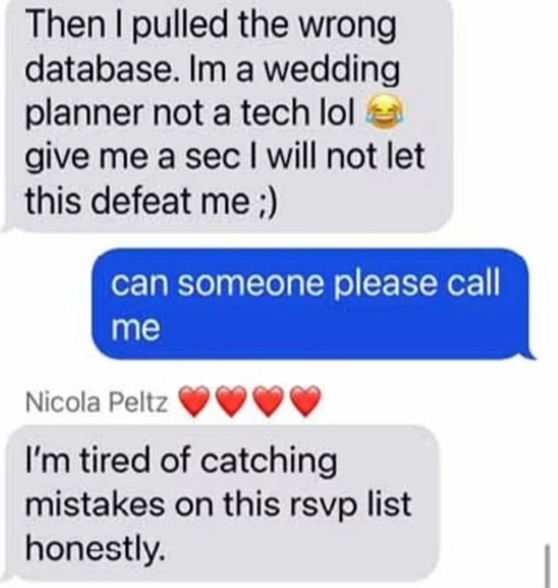 Nicole's text to wedding planners Nicole Braghin and Arianna Grijalba