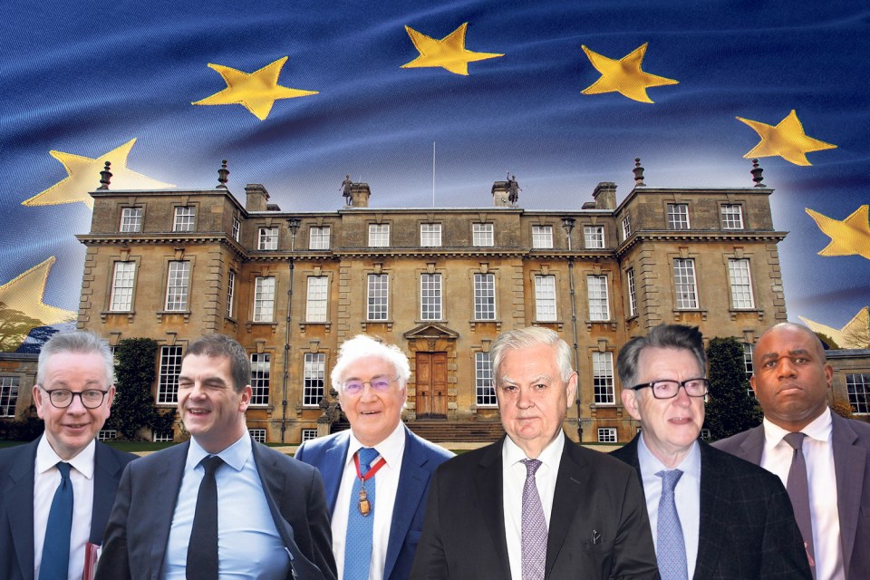 From left: Michael Gove, Olly Robbins, Lords Howard, Lamont and Mandelson and David Lammy