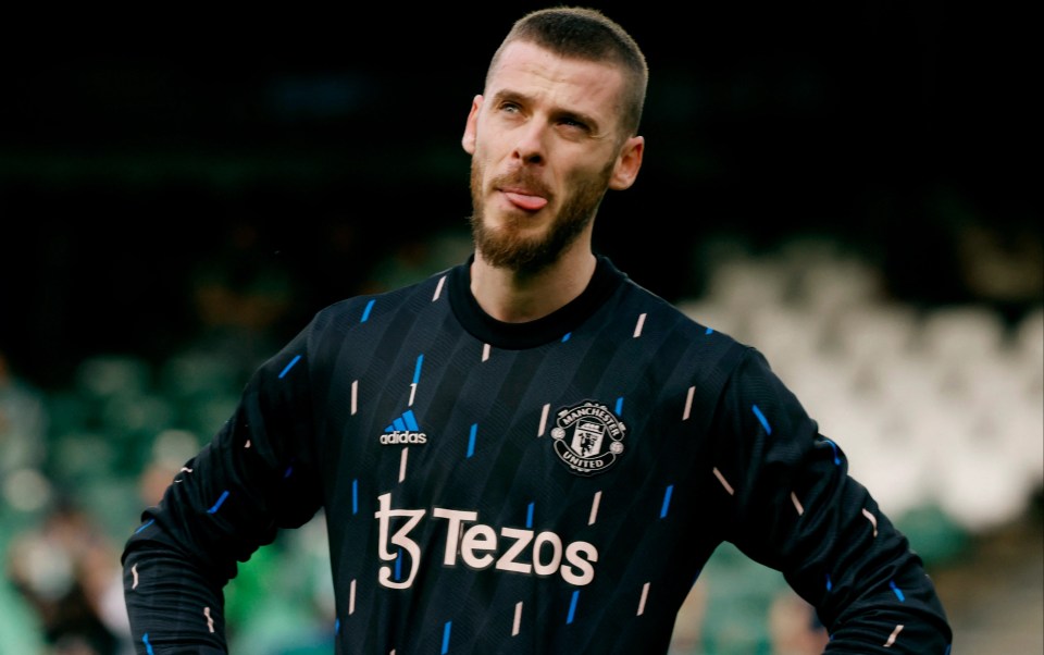 David de Gea is negotiating a new Manchester United contract