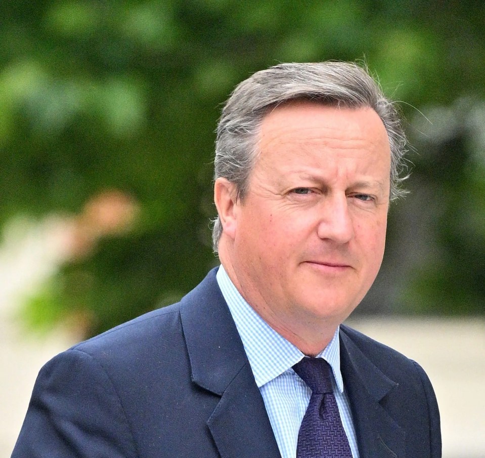 He was the brother of former Prime Minister David Cameron
