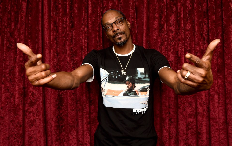 Snogg Dogg performing atthe Coronation could be remarkable