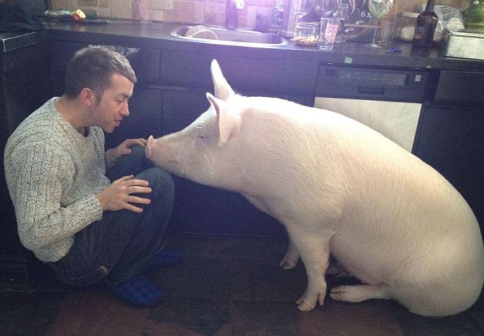 Esther has now grown into a 385lb beast