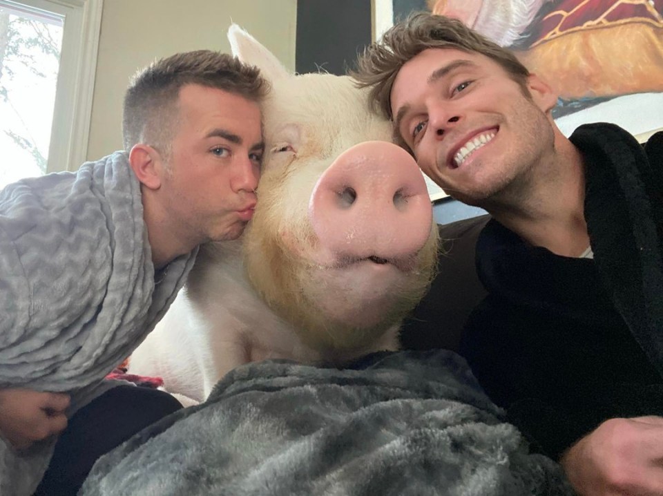 The huge pig has become part of Steve and Derek's family