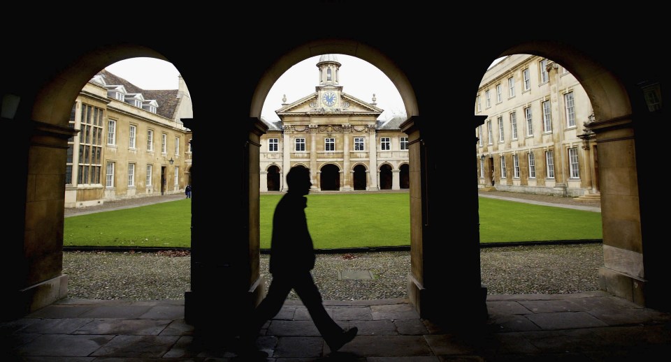 Despite often coming from privileged backgrounds, the new elite think of themselves as the oppressed underdogs