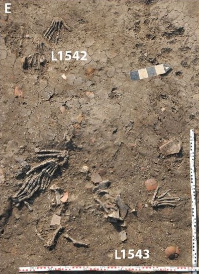 Archaeologists found a number of hands in a palace courtyard