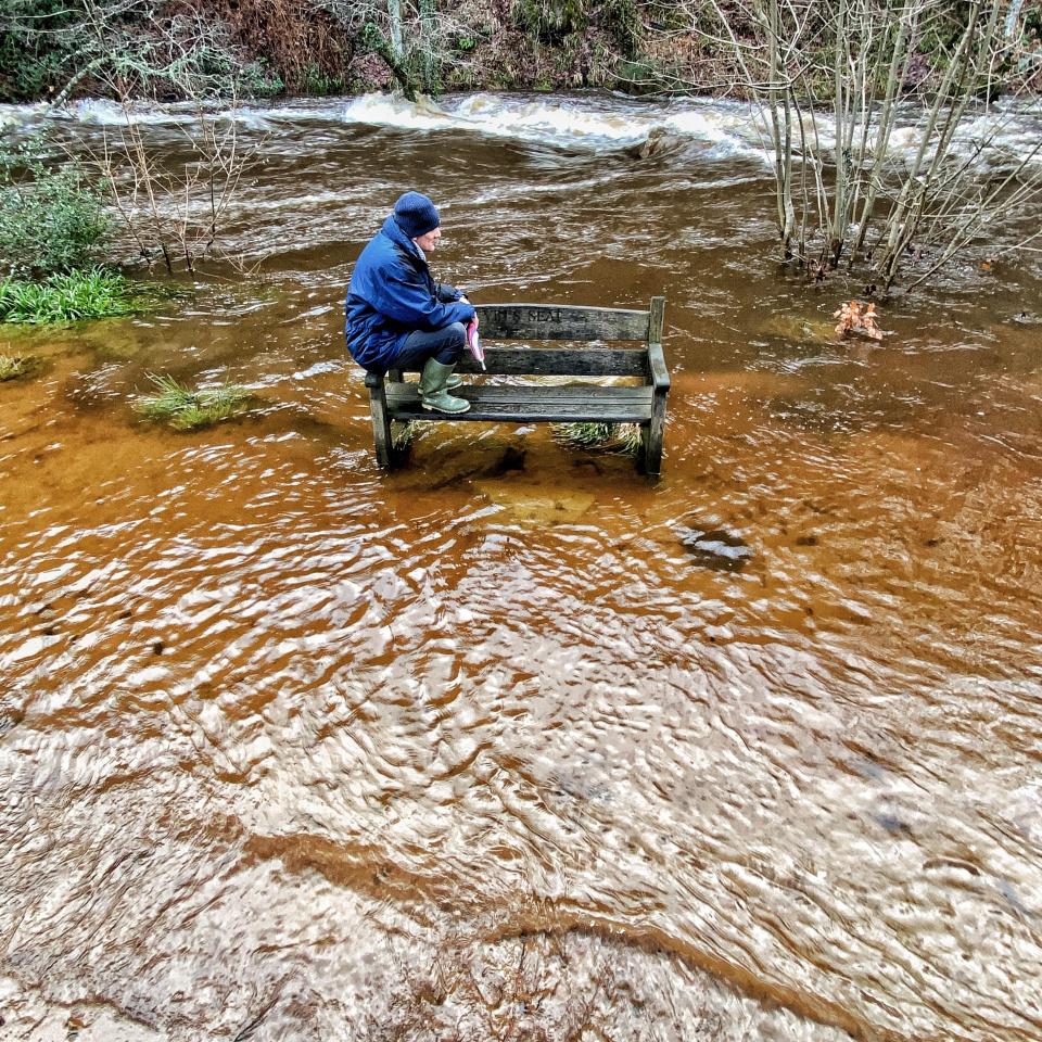 N017X6 UK Weather: Marooned in flood near Fingle Bridge, River Teign, Dartmoor, Devon, UK. Pictured: Damian Keene. 7 Jan 2023. Credit nidpor Credit: nidpor/StockimoNews/Alamy Live News