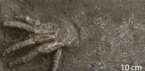 It's thought the hands could have been chopped off while the people were still alive
