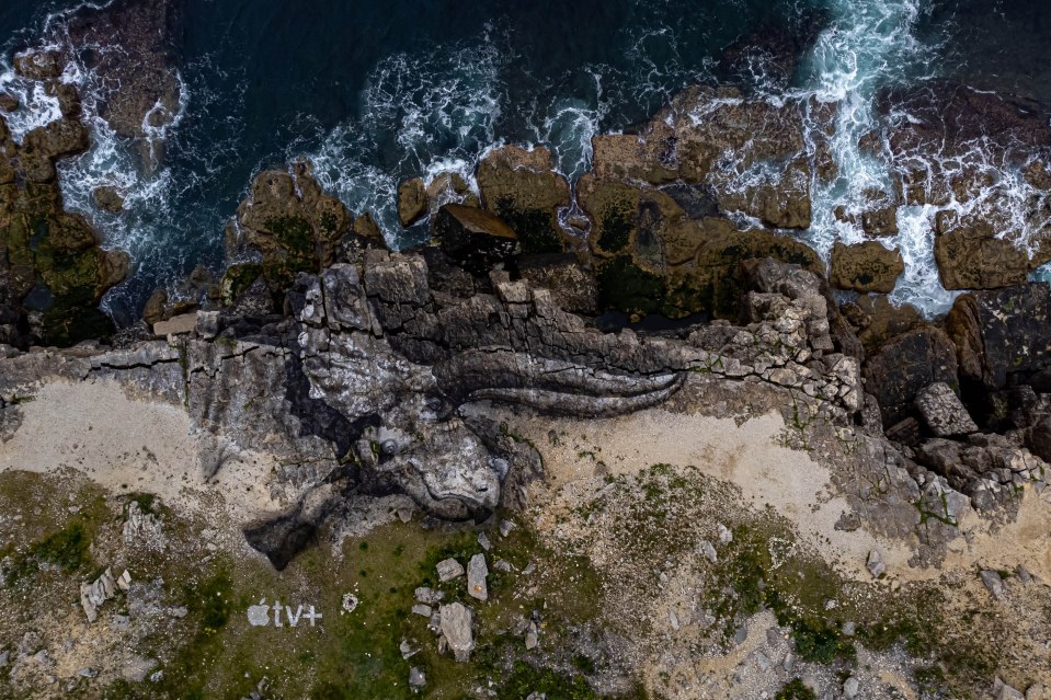 The stunning project was undertaken on the Jurassic Coast in Dorset