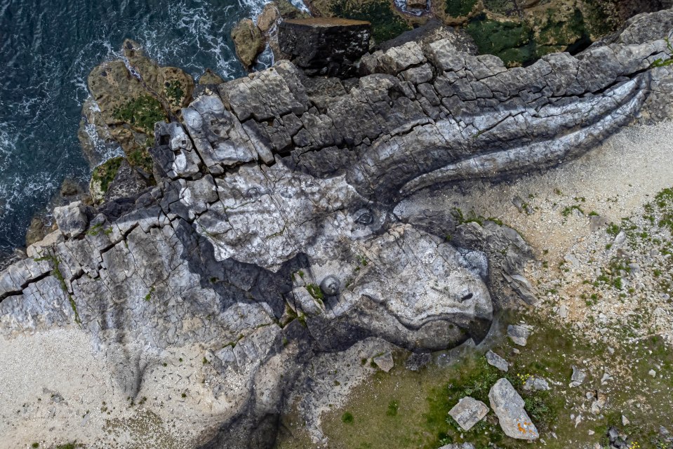 It shows a Triceratops in amazing detail