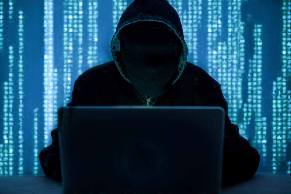 The cyber expert will not use a number of popular apps due to privacy concerns