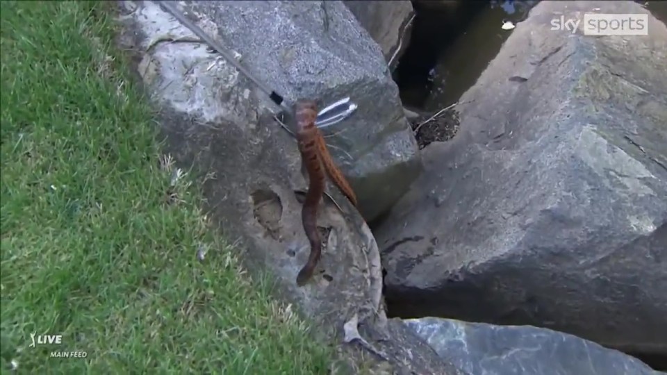 Rickie Fowler lifted the snake out of the water