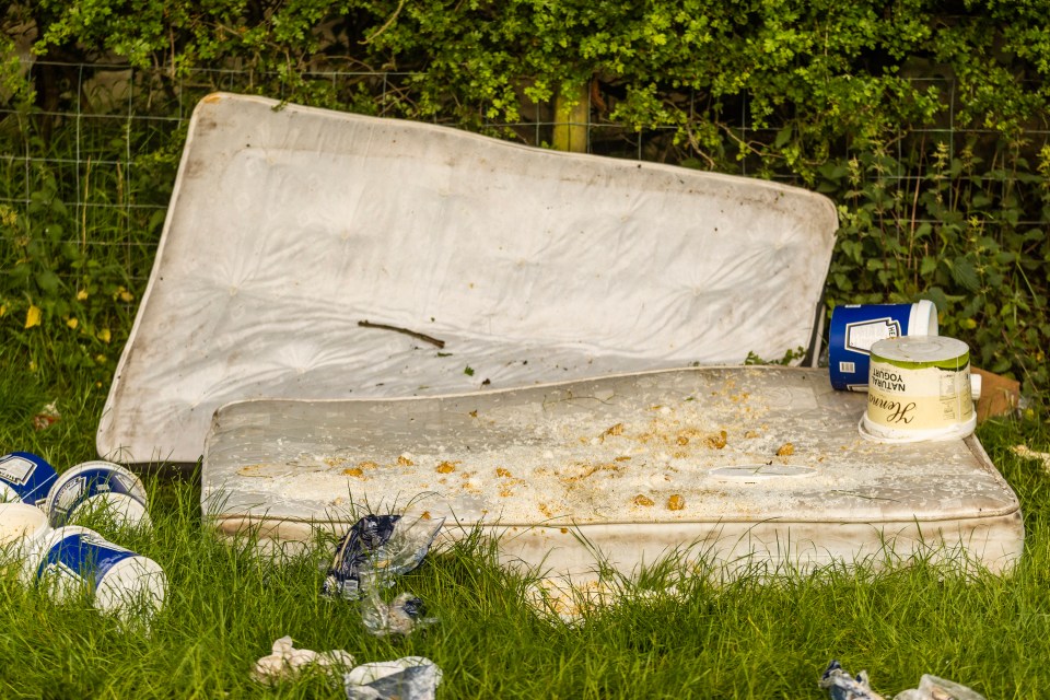 Large tubs of "natural yogurt" and Heinz mayonnaise have been left next to two filthy mattresses in one corner of the field