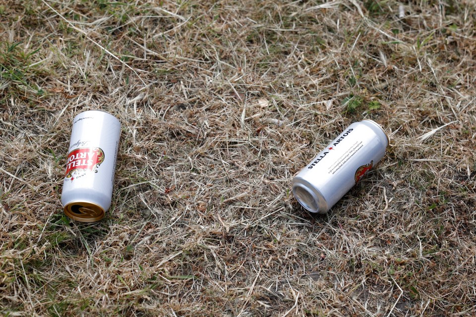 The Old Town has been plagued by litterbugs and vandals, locals complain