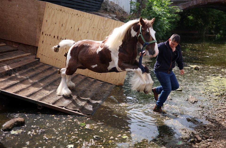 The horse fair dates back over 250 years