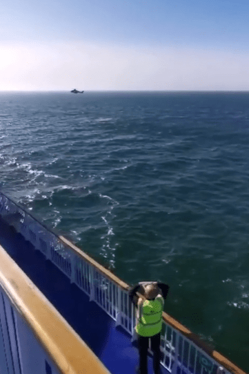 Swedish and Nato helicopters and boats were used during the rescue effort