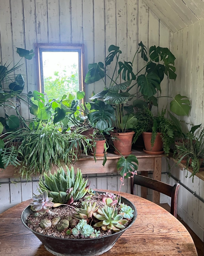 The star showed off his stunning summer house online which is bursting with an assortment of foliage