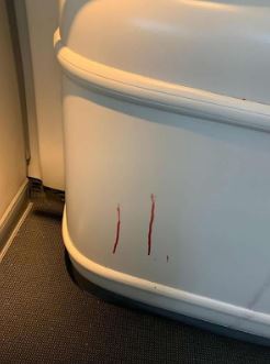 Blood was splattered throughout the cabin