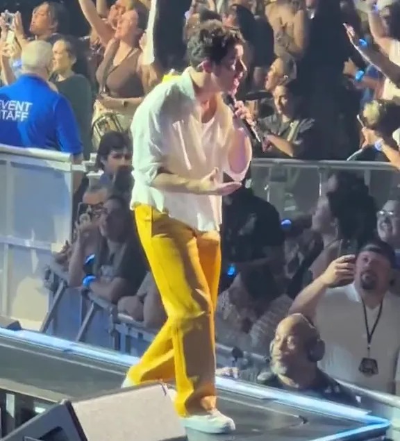 Nick Jonas tumbled into a hole in the stage while performing