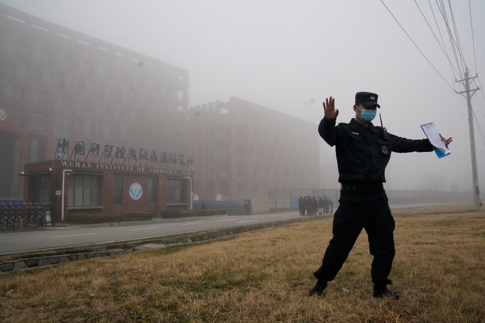 The Wuhan Institute of Virology has been linked to the origins of Covid