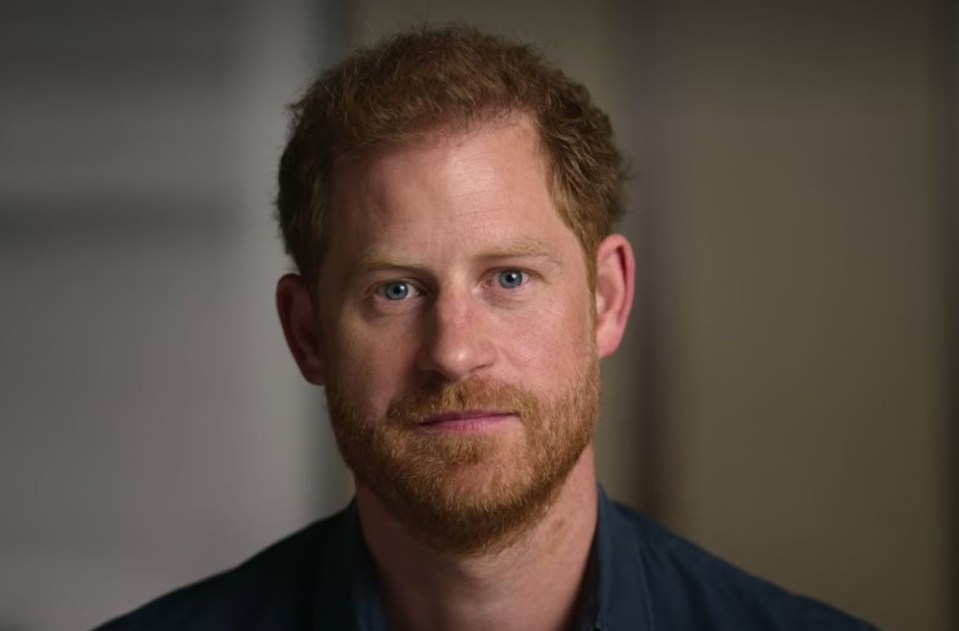 Prince Harry, Heart of Invictus, Series 1 Episode 1, Netflix