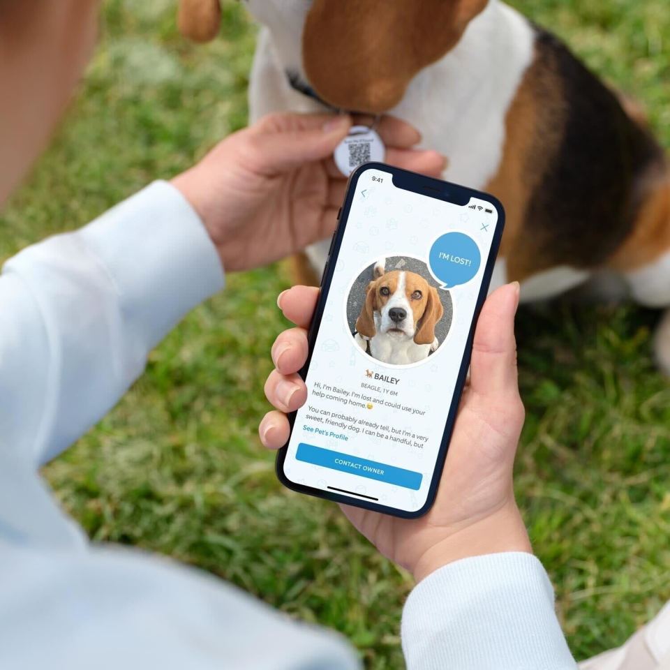Anyone who finds your pet will find out about their health conditions