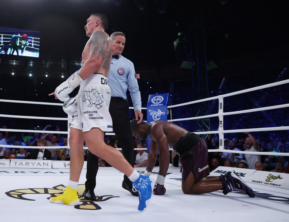 a man kneeling down in a boxing ring wearing a pair of blue boxing gloves