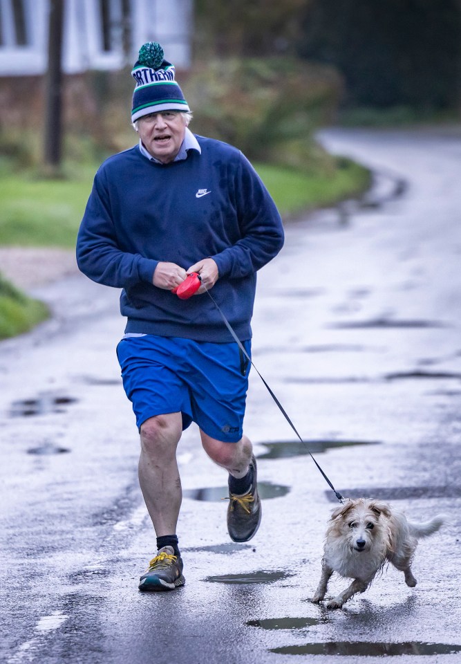 Covid was 'nature’s way of dealing with old people', Boris Johnson allegedly suggested