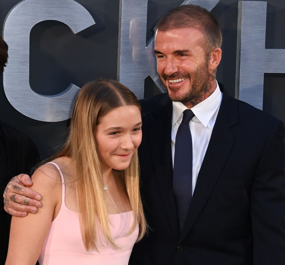 David and Harper shared a sweet moment