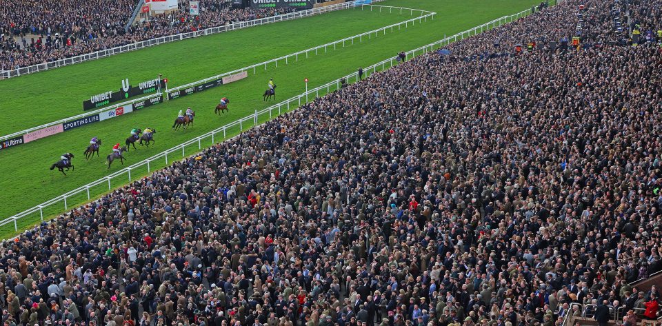 All roads lead to Cheltenham Festival from now on as the top jumps stars return