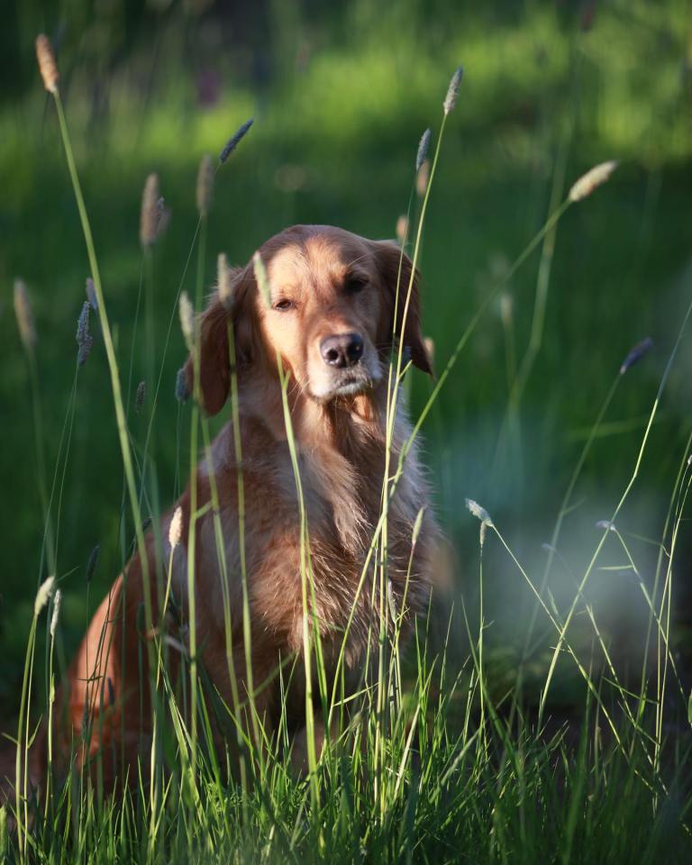 He shared this stunning image of Nell online