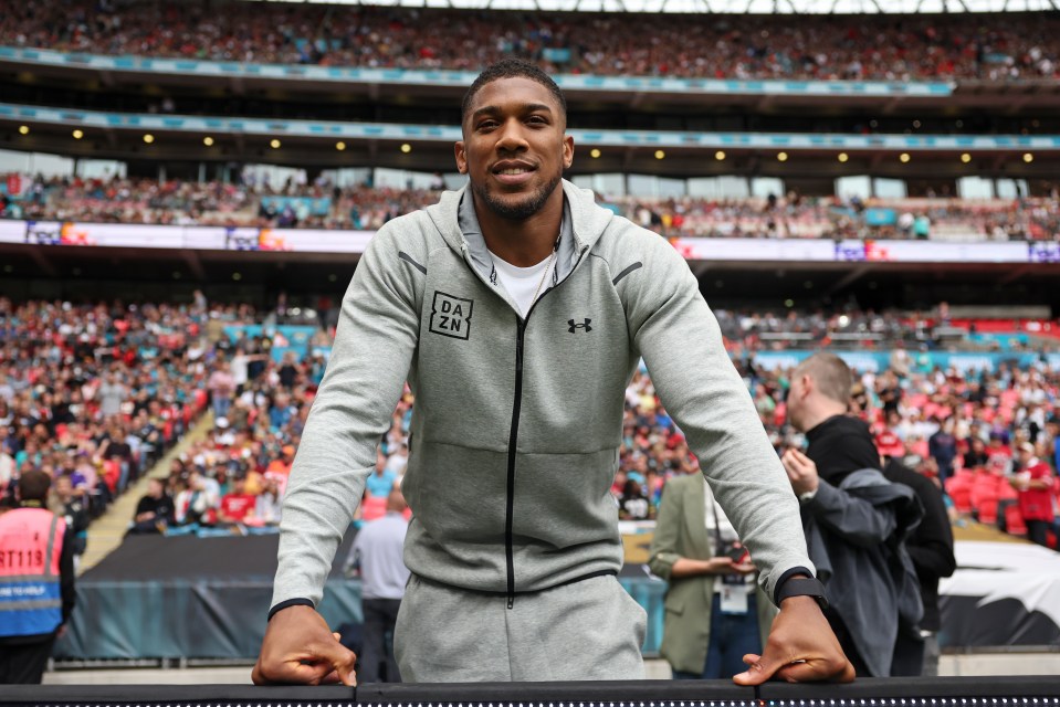 Anthony Joshua said it was 'an opportunity I couldn't ignore'