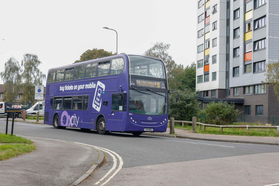The council say that most of the money will come from the private bus companies and the national government