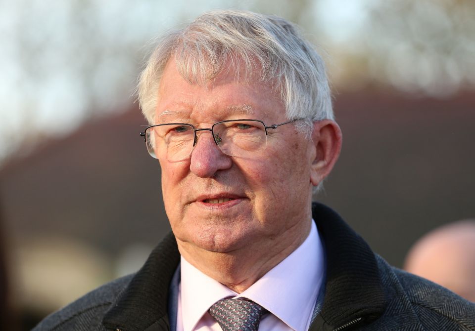 Fergie will once again have high hopes for his top horse Protektorat