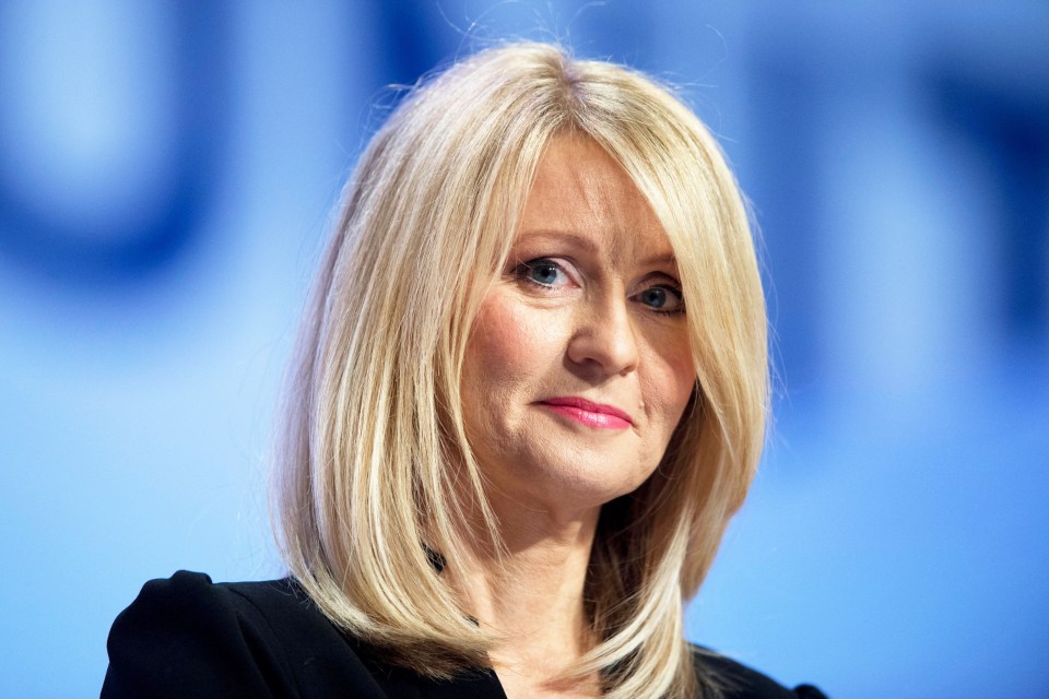 The Tatton MP has been dubbed the Minister for Common Sense