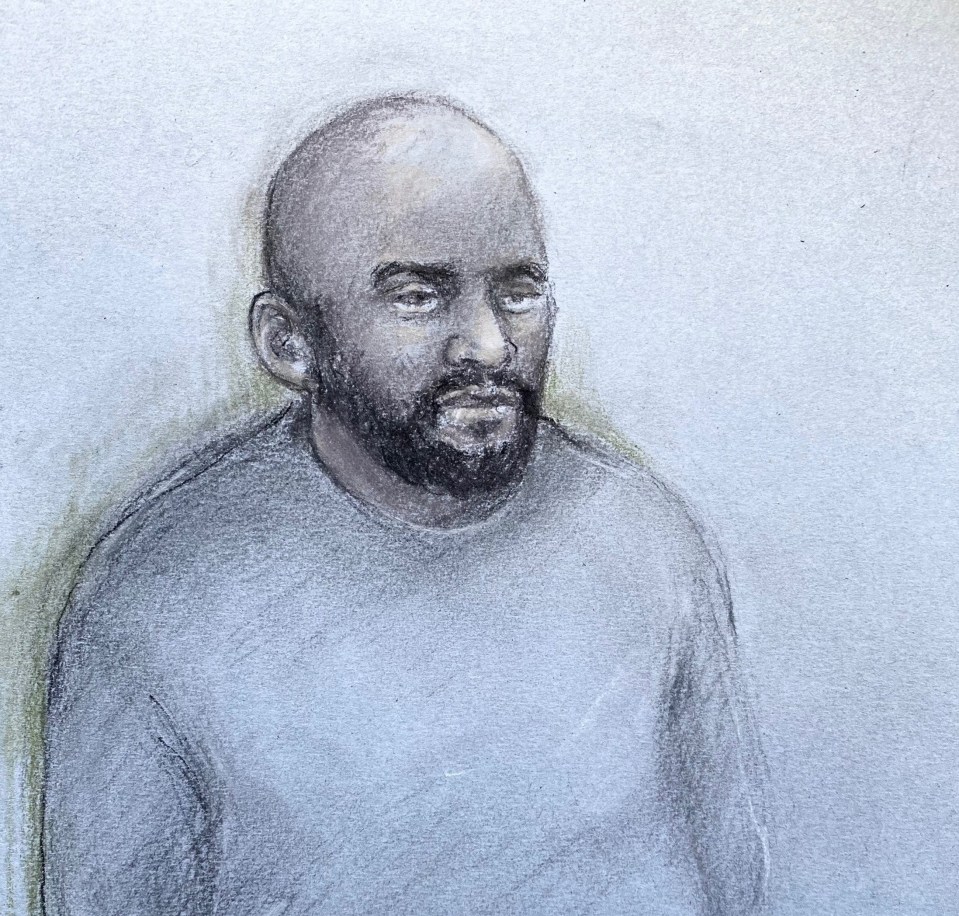 A court sketch of Davis - who pleaded guilty to terrorism charges at the Old Bailey