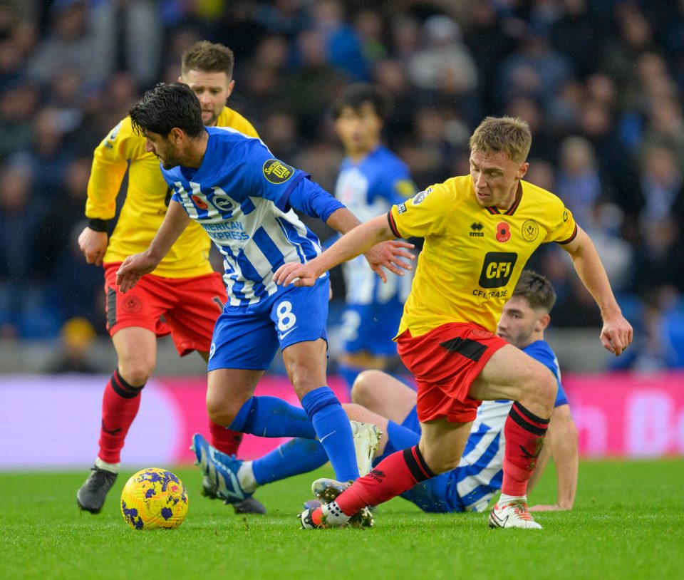 The Brighton boss criticised the decision to send Mahmoud Dahoud off for his challenge on Ben Osborn
