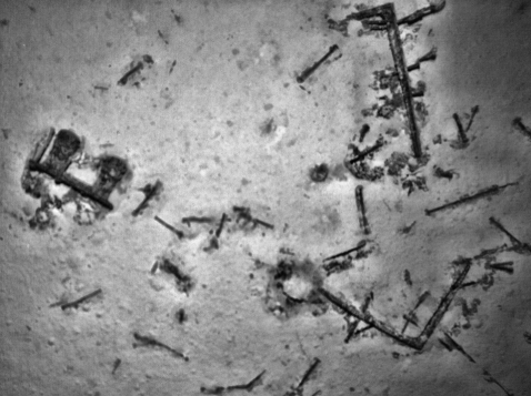 Sonar images from the wreck discovered in May 2015 showed anchors, fittings and and a water tank on the sea floor