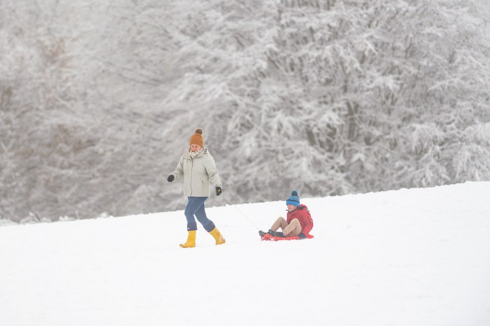 Some were able to have some fun in Hardwick Country Park, County Durham on Sunday after the snow fell on Sunday