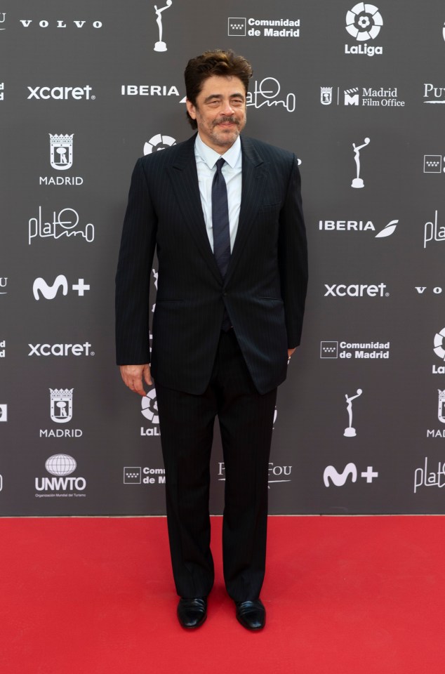 I’ve had an unhealthy crush on actor Benicio del Toro for years