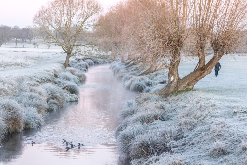 Icy weather hit Richmond Park this morning as temperatures plunged to -6c