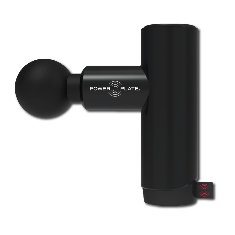 Power-plate-mini-massager-best-gifts-for-him