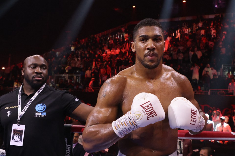 Anthony Joshua featured in the Day of Reckoning