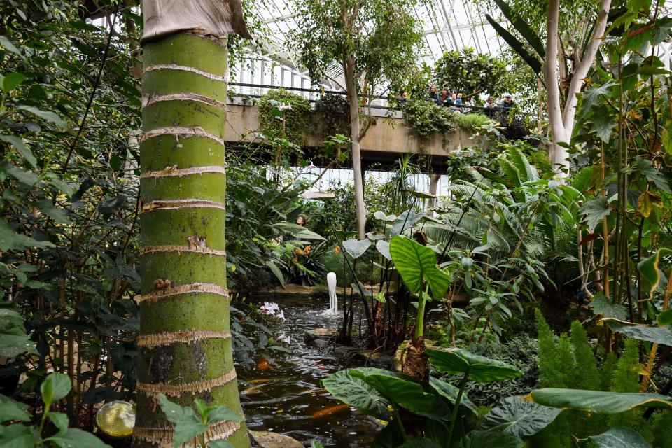Conservatory at the Barbican Centre with lush tropical plants and a pond.
