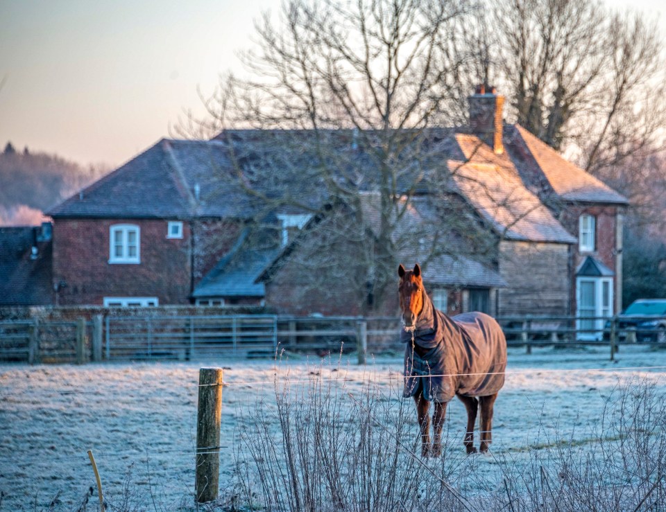A horse wraps up in a coat to face the frosty morning of -7C, Odstock, Salisbury, Wilts