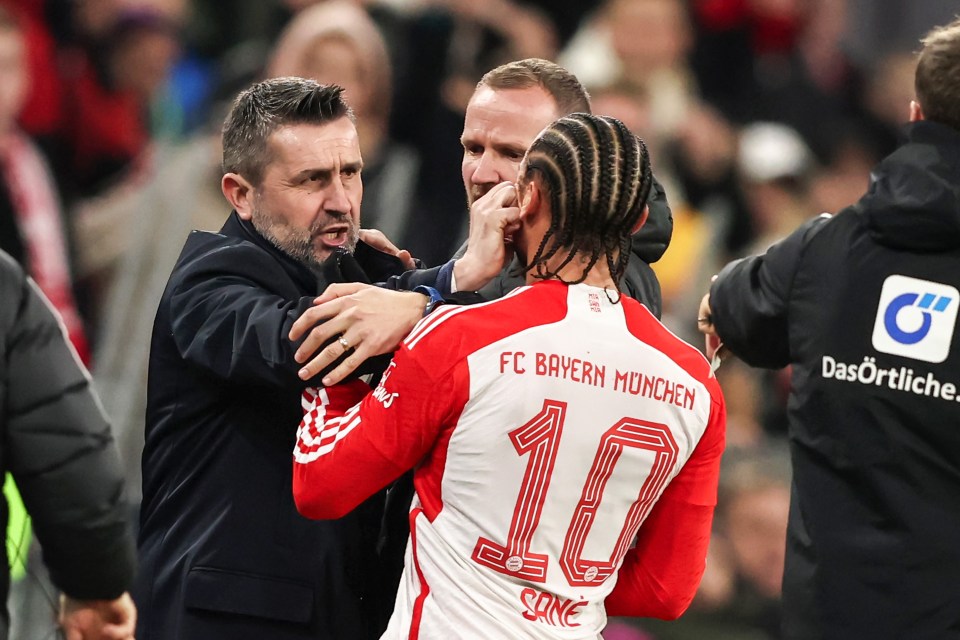 Nenad Bjelica has been banned for three games after clashing with Leroy Sane