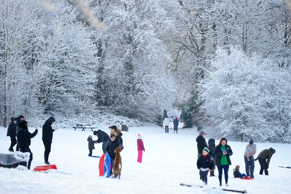 People at Camp Hill in Woolton, Liverpool, made the most of the snow to go sledging