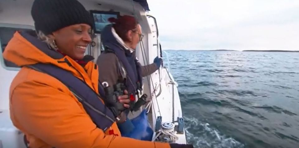 Gillian Burke was stunned to catch a glimpse of killer whales just off Orkney