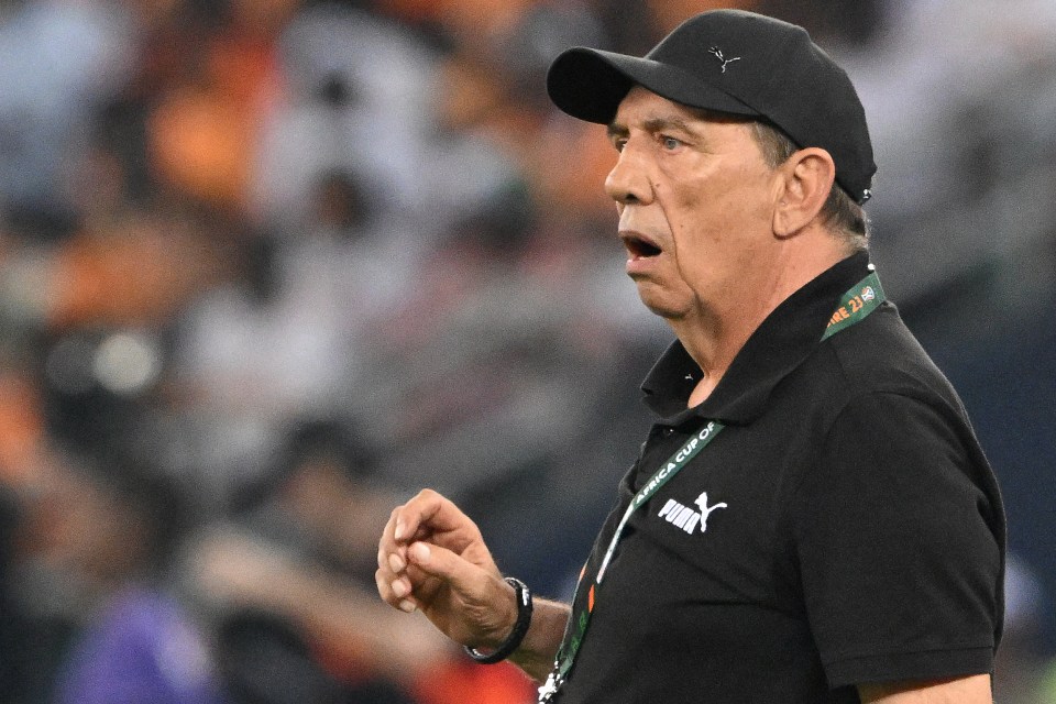 Jean-Louis Gasset was sacked following the Ivory Coast's 4-0 loss to Equatorial Guinea