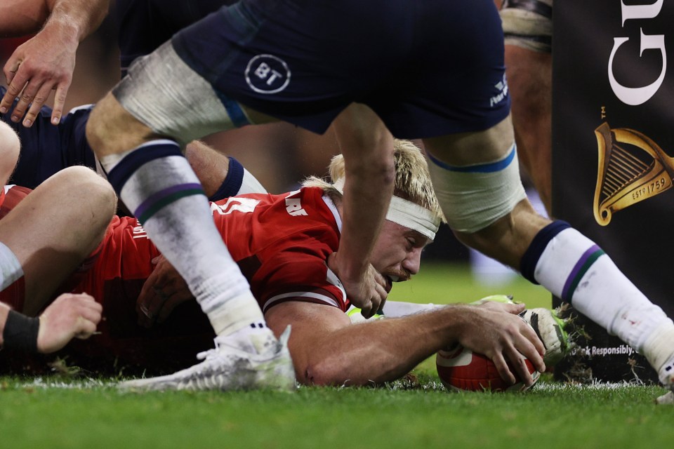 CARDIFF, WALES - FEBRUARY 03: Aaron Wainwright of Wales scores his team's third try during the Guinness Six Nations 2024 match between Wales and Scotland at Principality Stadium on February 03, 2024 in Cardiff, Wales. (Photo by Richard Heathcote/Getty Images)